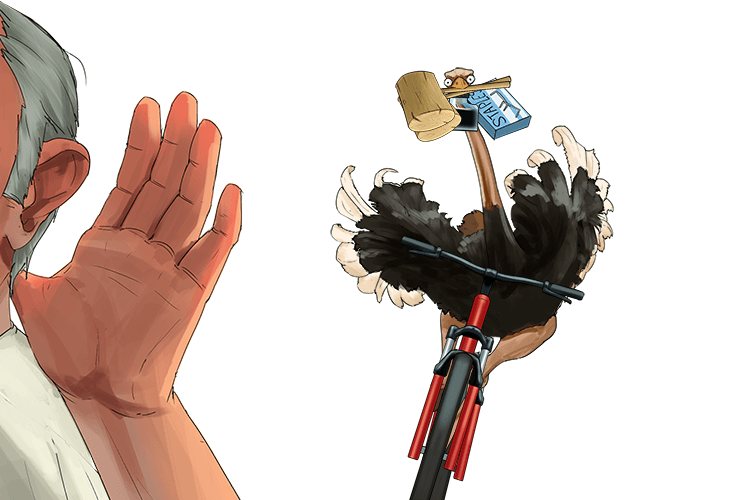 Can you hear (ear) that? It's an ostrich on a bicycle (ossicles) bringing mallets to each of us (malleus), as well as ink (incus) and staples (stapes)